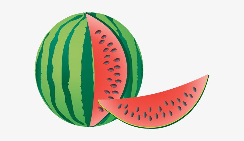 Watermelon Clipart Watermelon Fruit - Watermelon Note Cards (pk Of 20), transparent png #244470