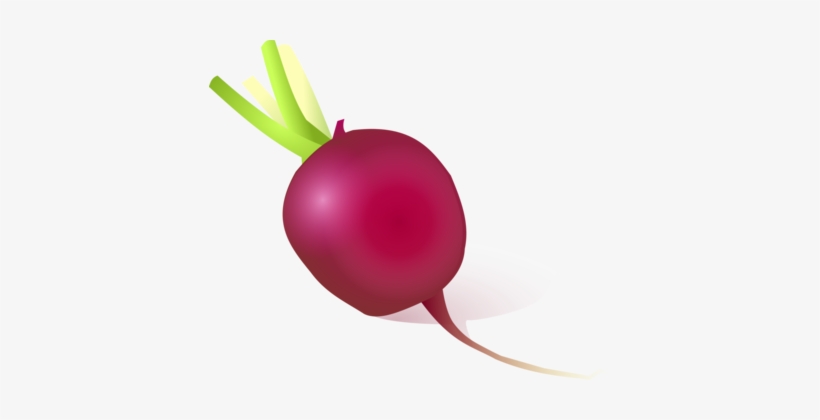 Vegetable Daikon Onion Eating Turnip - Cartoon Radish Png, transparent png #244533