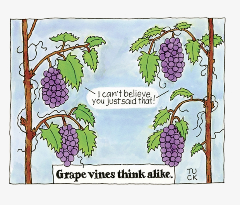Grape Vines, transparent png #244634