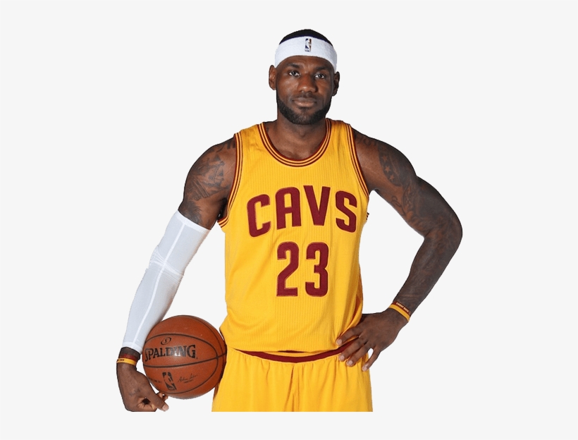 Related - Cleveland Cavaliers Lebron James 2014 Posed Framed, transparent png #245132