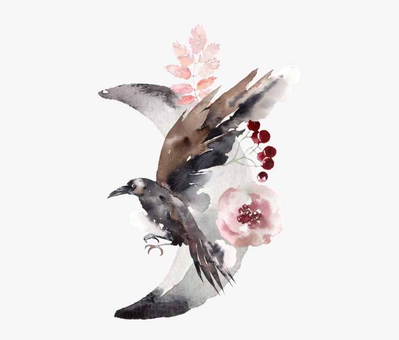Magnificent Bird Watercolor - Watercolor Painting, transparent png #245378