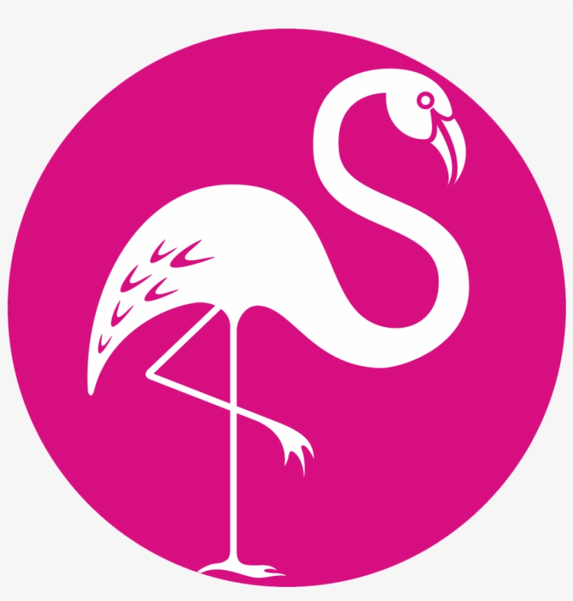 Pink Flamingo Certification - Pink Flamingo Miami, transparent png #245417