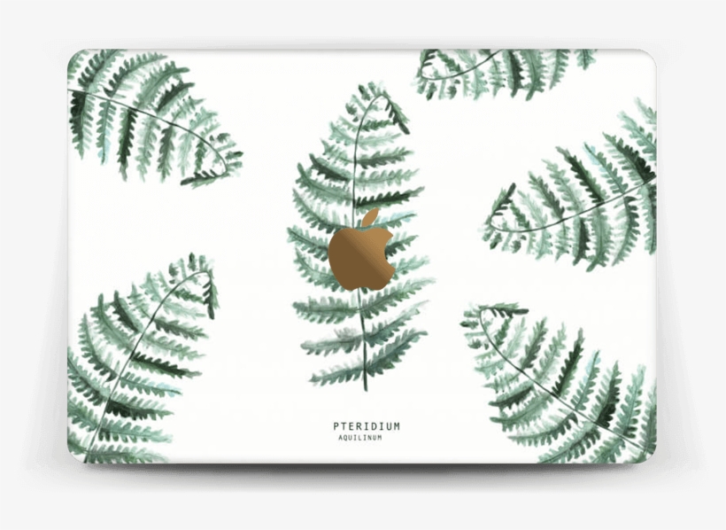 Pteridium Aquilinum Skin Macbook 12” - Macbook Pro 13-inch, transparent png #245419