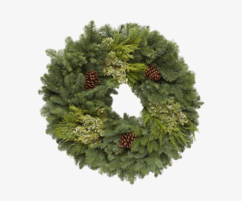 Fresh Wreath From Oregon - Wreath, transparent png #245468