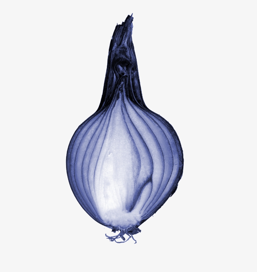 File - Blueonioncut - Vegetative Reproduction In Onion, transparent png #245470