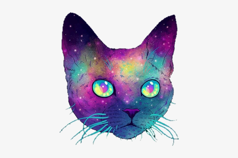 Cat And Galaxy Image - Galactic Cats, transparent png #245698