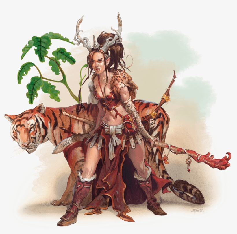 Basic Rules For Dungeons And Dragons Fifth Edition - Complete Druid's Handbook, transparent png #245857