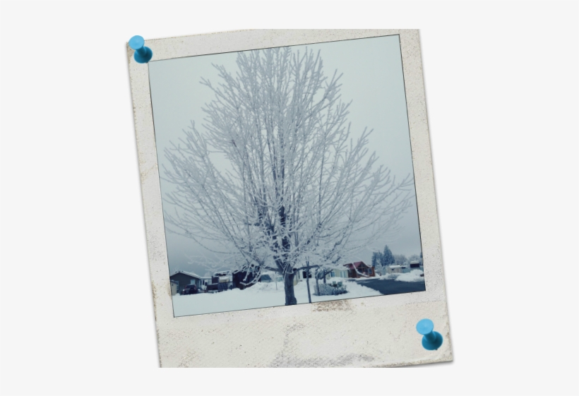 One Of The Major Winter Weather Phenomenons That We - Lake Chelan Homewatch, transparent png #245906