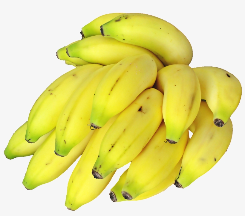 Download Png Image Report - Indian Banana Png, transparent png #246597