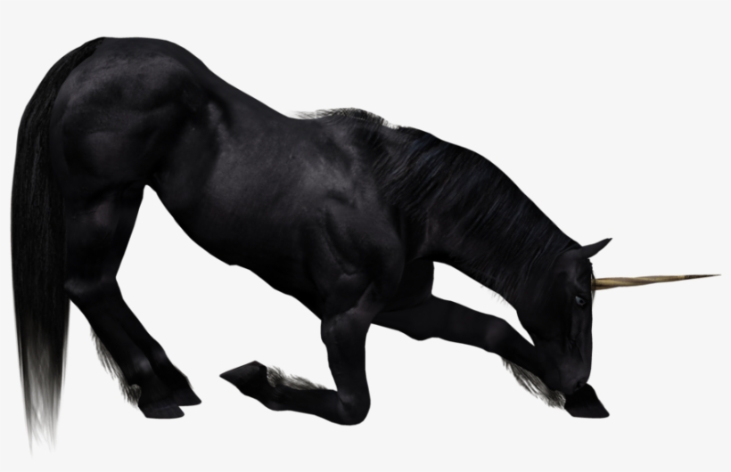 Horse, transparent png #246617