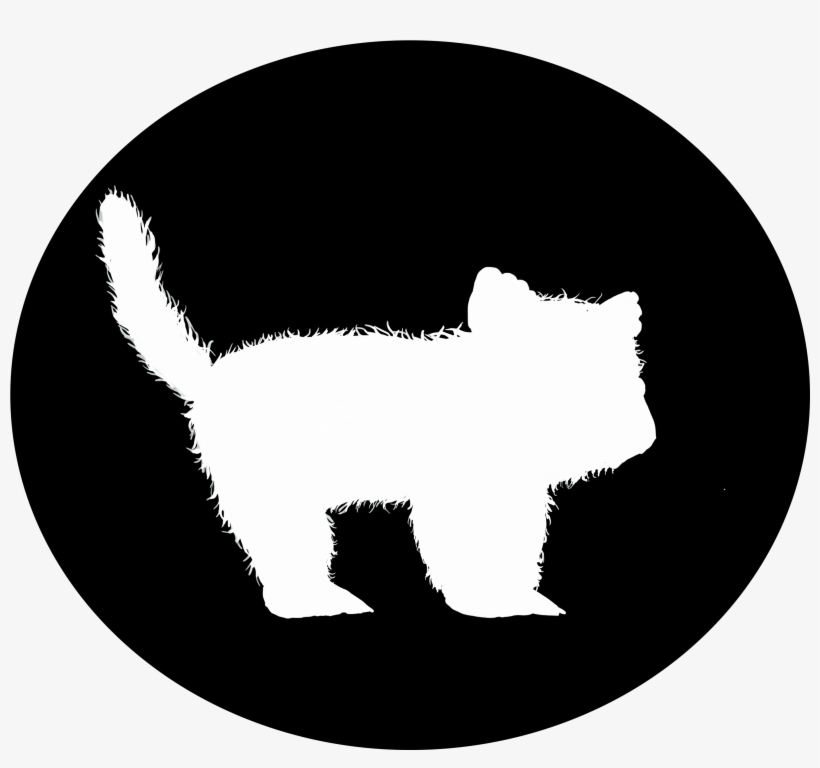 Kitten, transparent png #246775