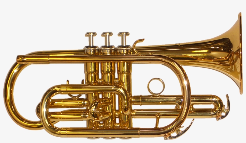 Brass Band Instrument Png Picture - Cornet Png, transparent png #246855