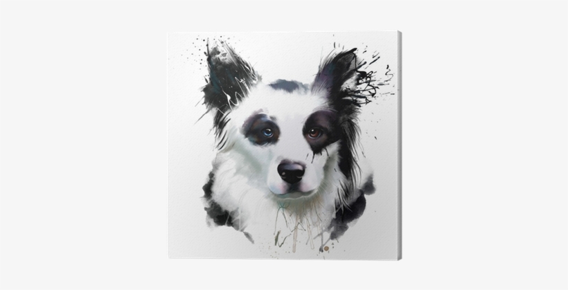 Watercolor Dog Portrait Of A Border Collie, Closeup - Collie, transparent png #247836