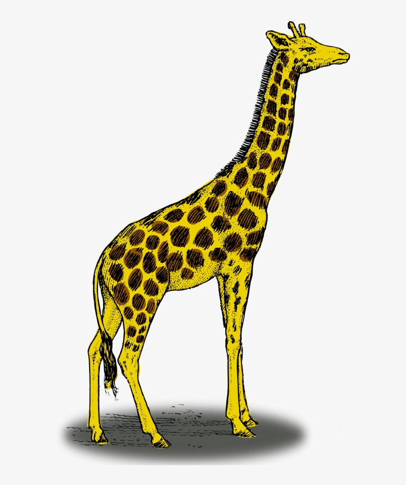 How To Set Use Colored Giraffe Clipart, transparent png #247930