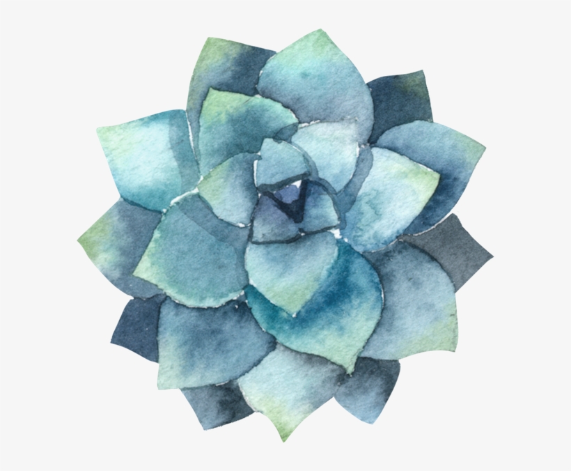 Papersphinx Succulents 16 - All The Boys I Loved Before Iphone, transparent png #248033