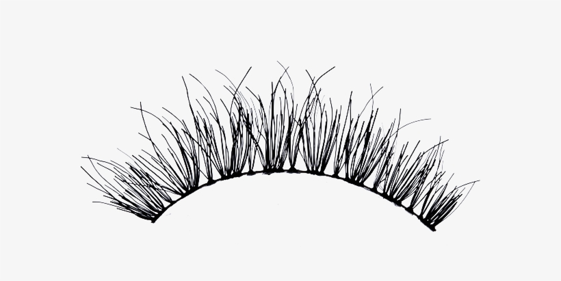 The Gallery For > Transparent Eyelashes Photoshop - Eyelashes Png, transparent png #248101