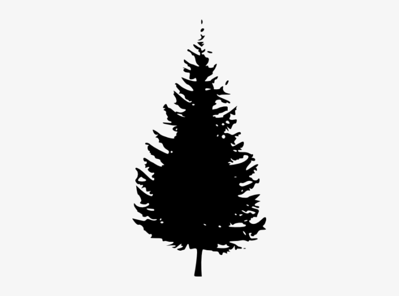 Pine Tree Deciduous Tree Black Adn White Clipart Cliparthut - Pine Tree Vector Png, transparent png #248125
