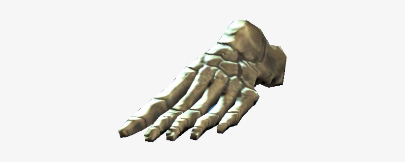 Left Foot Bones - Portable Network Graphics, transparent png #248635