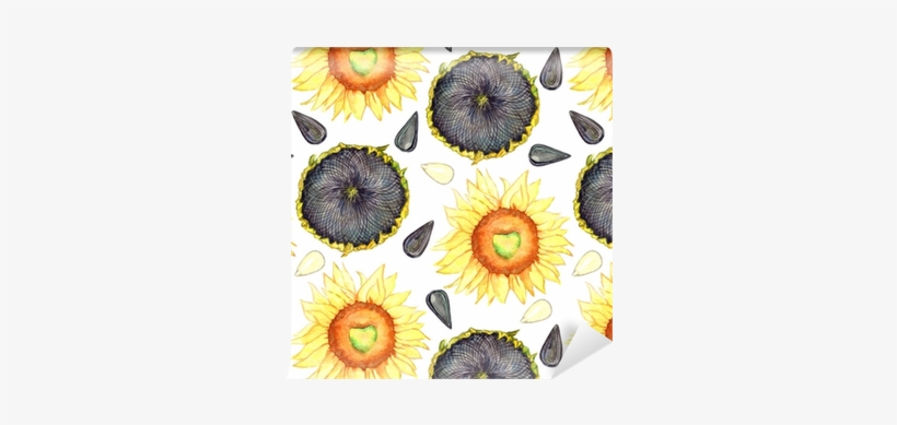 Sunflower Blooming, Ripe Head And Seeds, Seamless Pattern - Seed, transparent png #248681