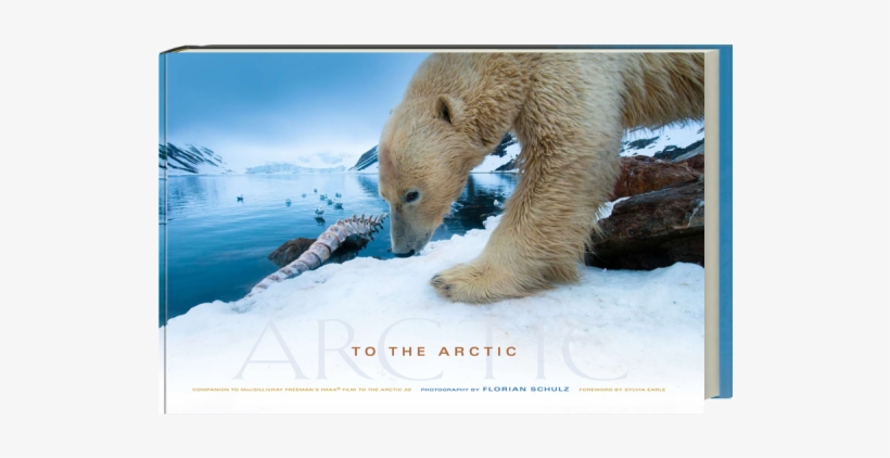 To The Arctic - Arctic, transparent png #249177