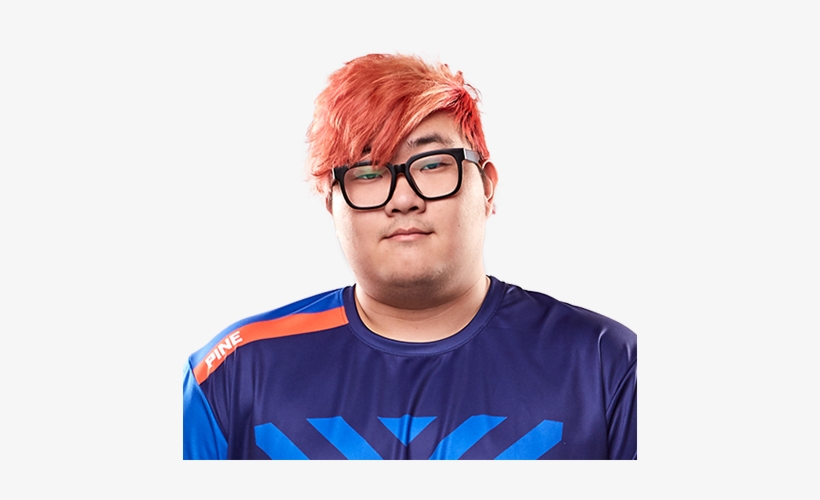 Pine New York Excelsior, transparent png #249330