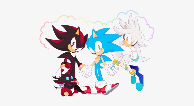 ¯\ /¯ Sometimes A Family Can Be 3 Hedgehogs And A Chao - Video Game, transparent png #249373