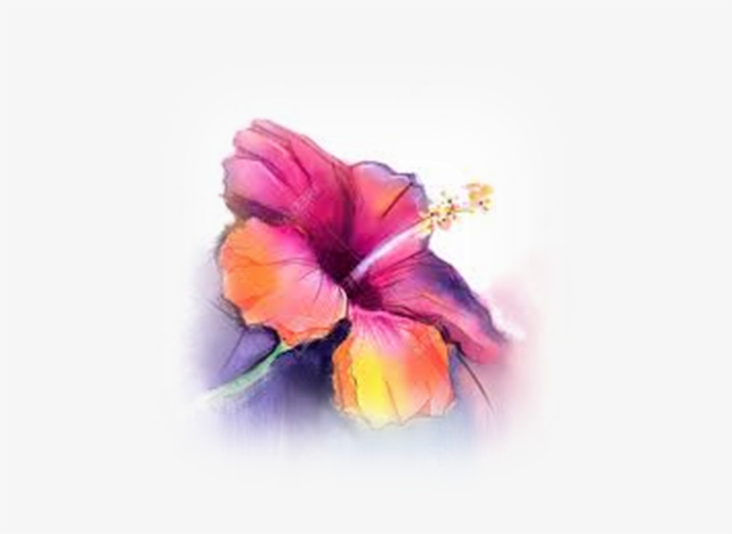 Tickle Your Tastebuds - Painting Background Colors, transparent png #249675