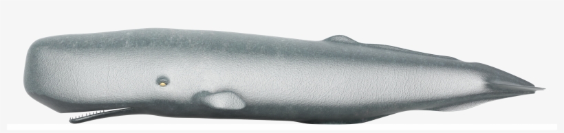 Sperm Whale Png Clipart - Knife, transparent png #249699