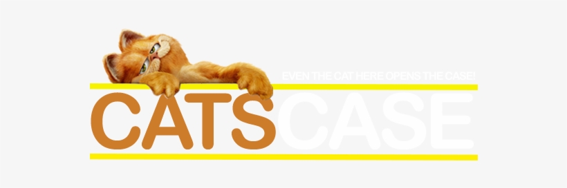 Www - Catscase - Com - Drop Better Than Gaben - Crispy Fried Chicken, transparent png #2400733