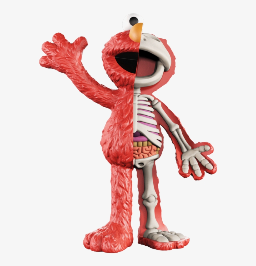 Xxray Plus - Xxray Elmo, transparent png #2402612