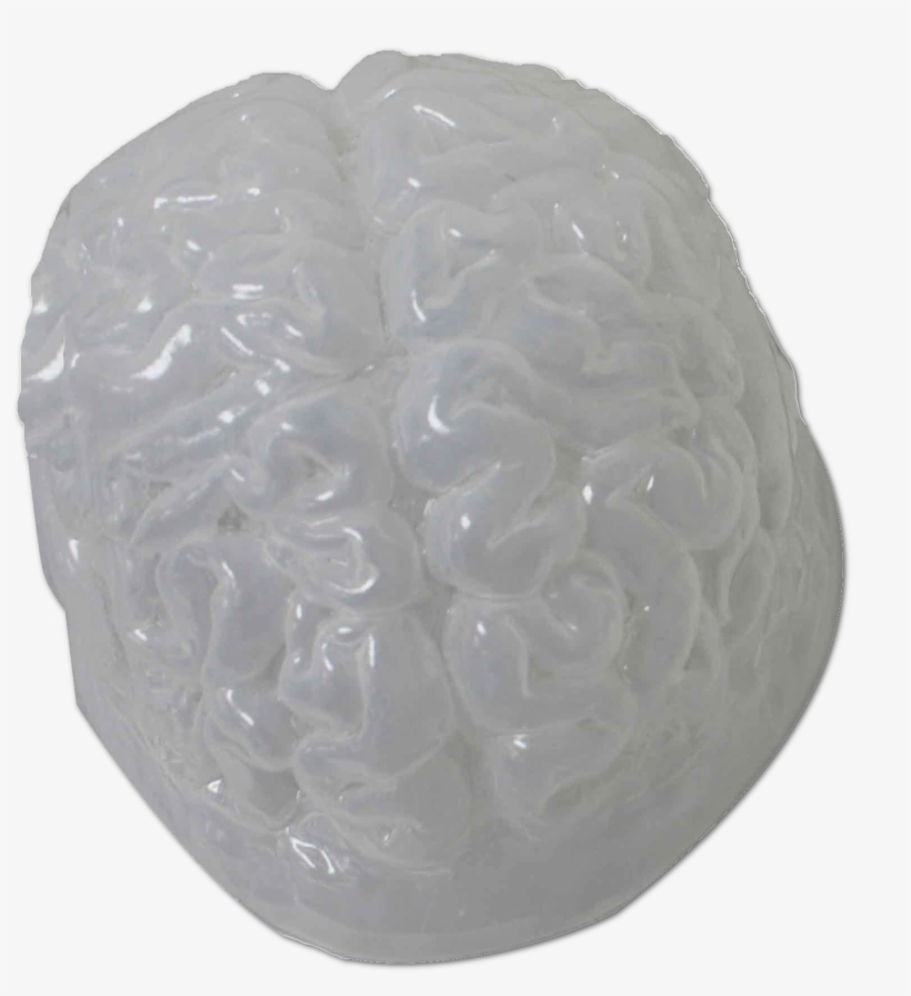 Continue Shopping - Gelatin Brain Mold, transparent png #2403294