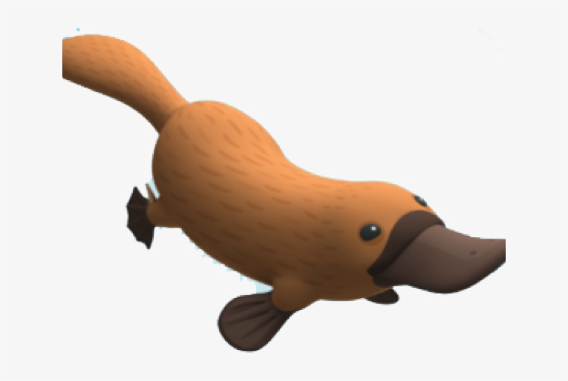 Platypus Clipart, transparent png #2405577