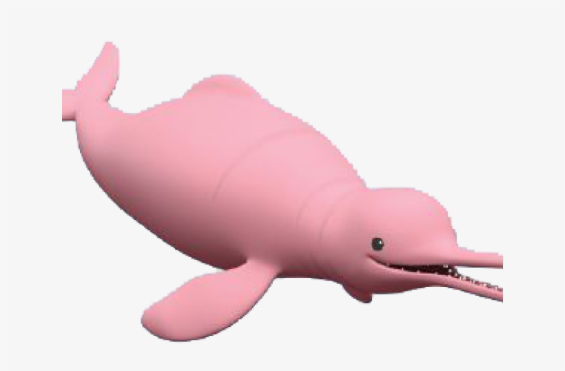 Platypus Octonauts, transparent png #2405616