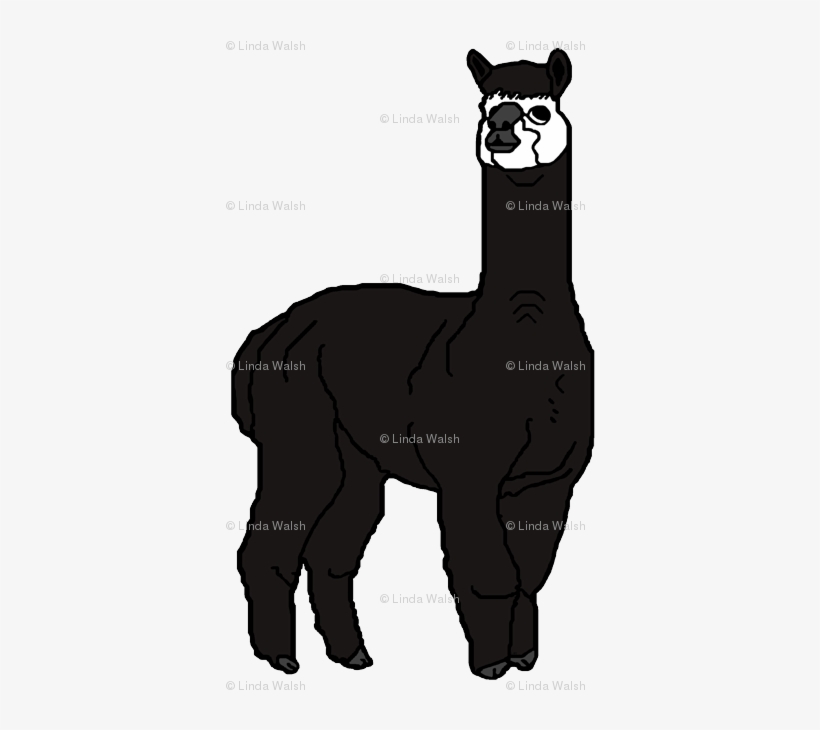 Masquerade Alpaca Black And White Animal Fabric Fabric - Alpaka-felsen-bauernhof-tageshellbraunes Notizblock, transparent png #2406088