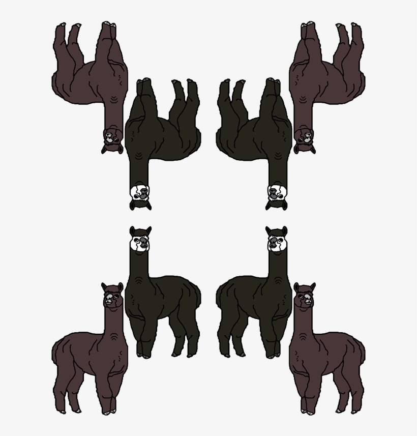 Donkey, transparent png #2406254