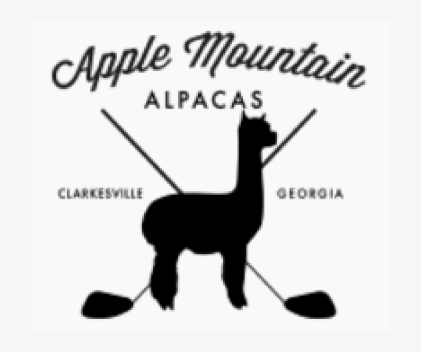 Alpacas For Sale In Ga - Scrapbook Customs State Sightseeing Massachusetts Stickers, transparent png #2406390