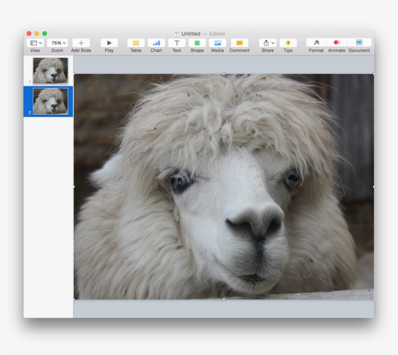 Screen Shot 2015 06 01 At - Alpaca: Journal Log Doodle Sketch Drawing Notebook, transparent png #2406422