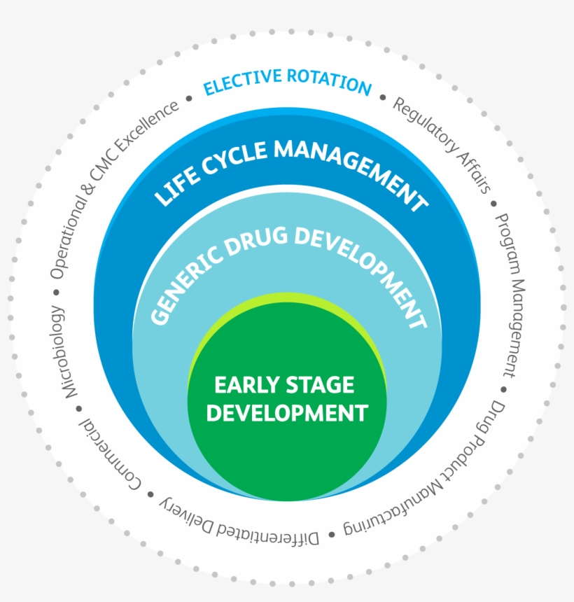 Each Year Pfizer Selects Accomplished New And Recent - Linkedin, transparent png #2407166