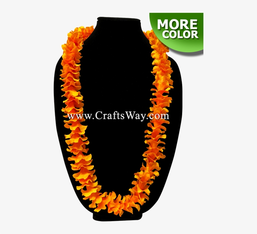 Circle, transparent png #2407334