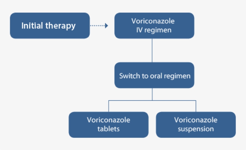 Vfend Initiating Therapy - Voriconazole, transparent png #2407559