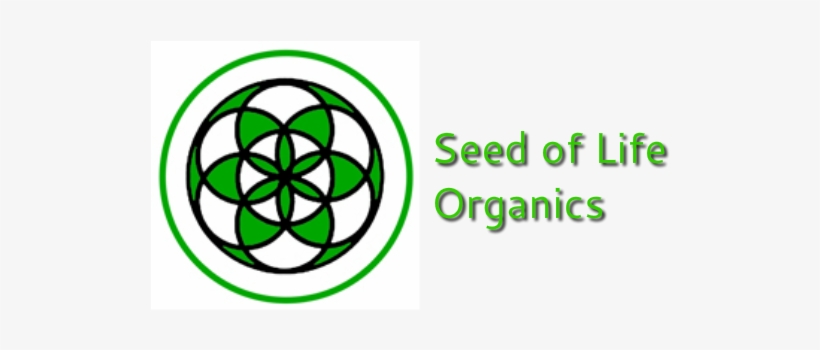 Philosophy, transparent png #2408189