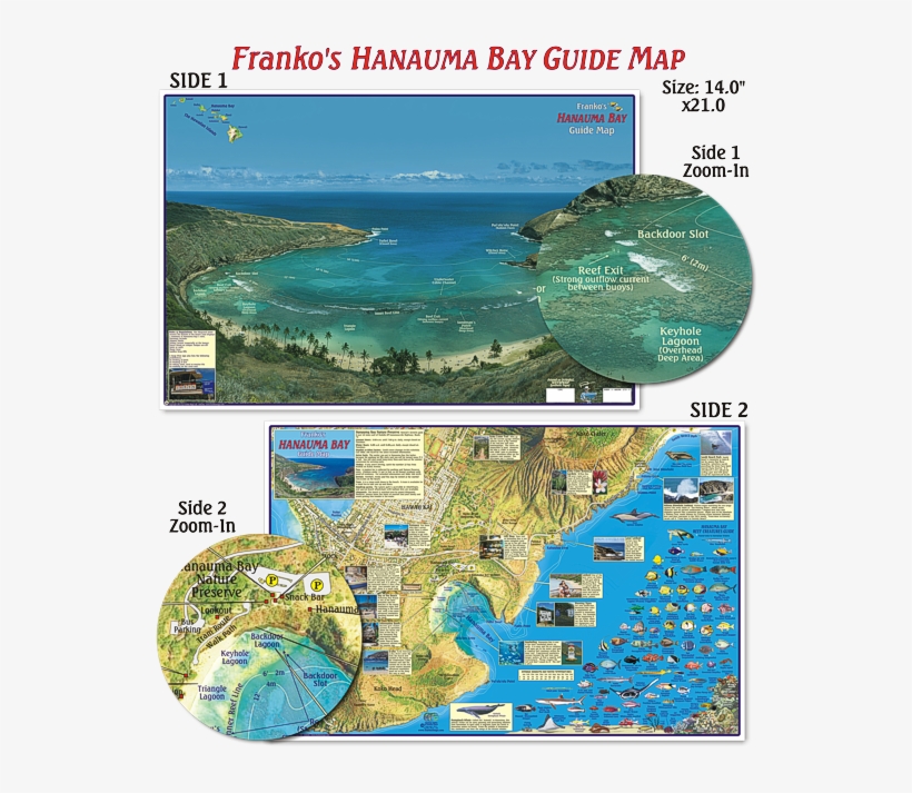 Waterproof Folded Map Or Laminated Poster Franko Maps Hanauma Bay Adventure Guide Free