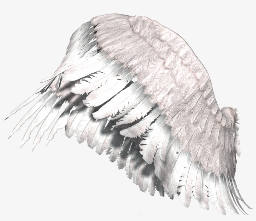 Holisss, Pronto Subiré Nuevos Tutoriales, transparent png #2408367