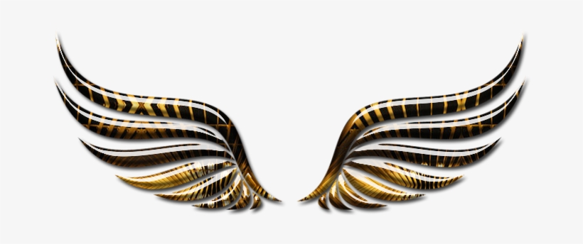 Estilos De Alas Png - Illustration, transparent png #2408389
