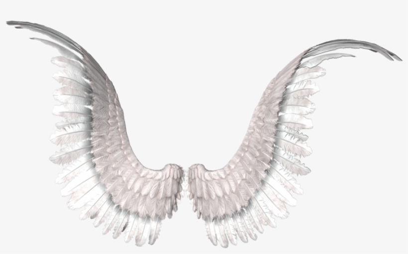 Alas En Png - Png Alas De Angel, transparent png #2408431