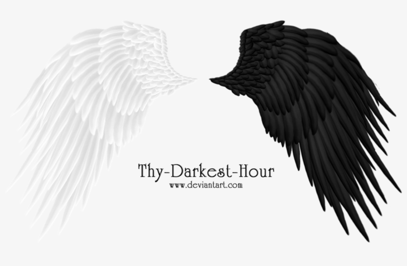 Wings En Formato Png Espero Les Agraden - Alas En Formato Png, transparent png #2408482