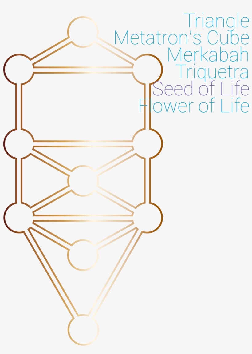 Seed Of Life - Diagram, transparent png #2408505