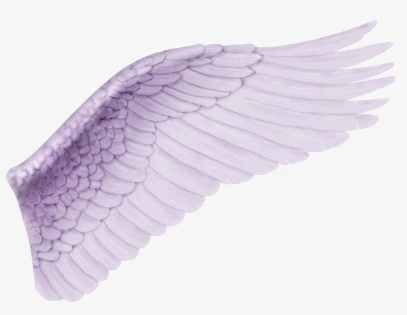 Ejemplo De Uso, Ya Duplicando La Capa Y Aplicando Una - Alas Para Photoshop, transparent png #2408556