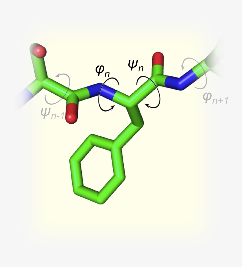 As Many Of You May Recall, Each Residue Of A Protein - Toss A Bocce Ball, transparent png #2408582