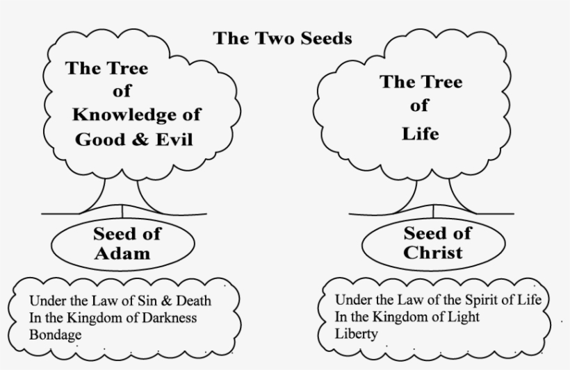 Lesson 8 Figure - Second Coming Of Christ Study Guide, transparent png #2408610